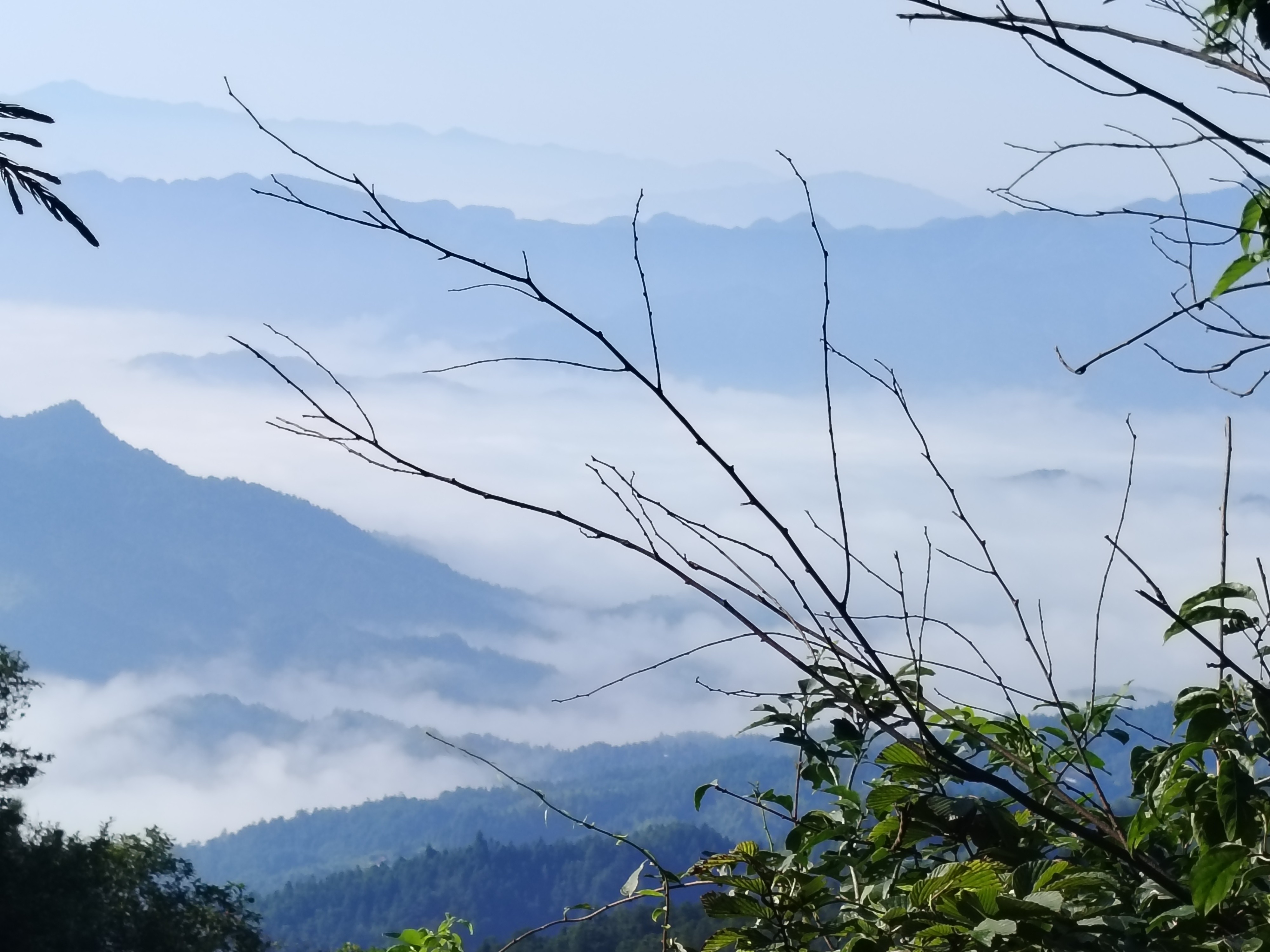 湖南柏晶智能科技有限公司